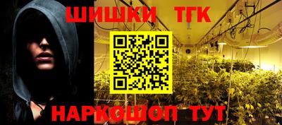 гидра Славгород