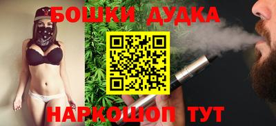 гидра Славгород