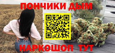 гидра Славгород