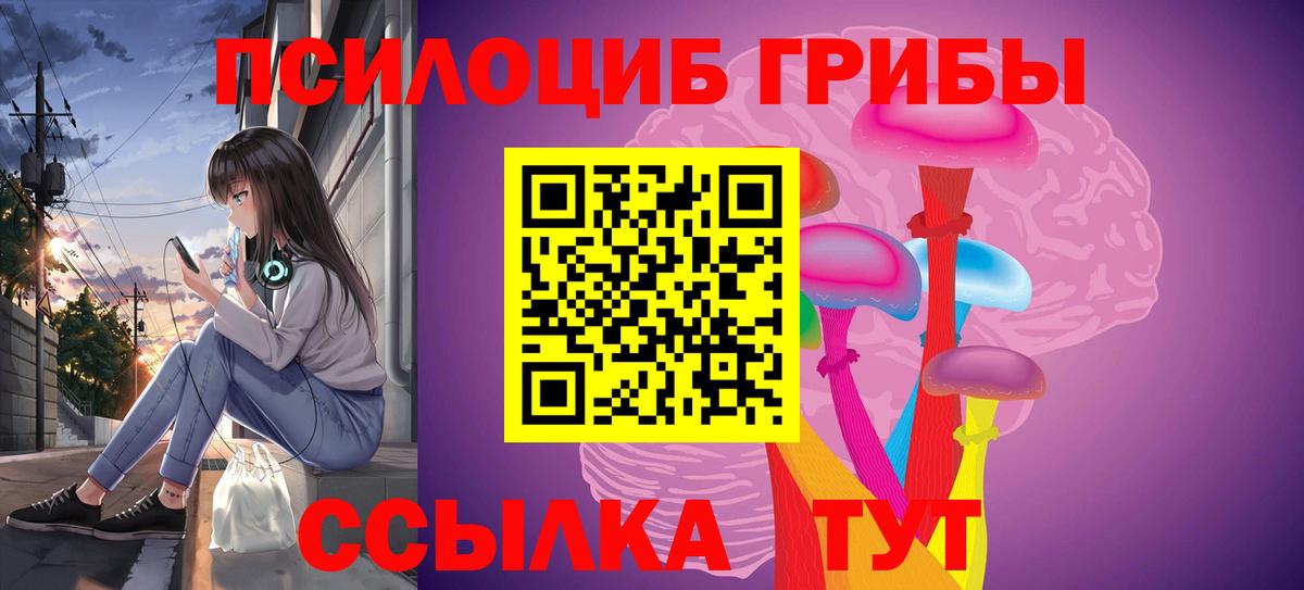 Галлюциногенные грибы Cubensis  Вход с VPN  Псилоцибиновые грибы GOLDEN TEACHER  Нижний Новгород 